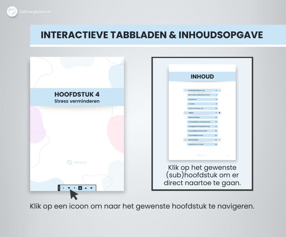 Interactief werkboek voor mensen met een autismespectrumstoornissen en een burn-out