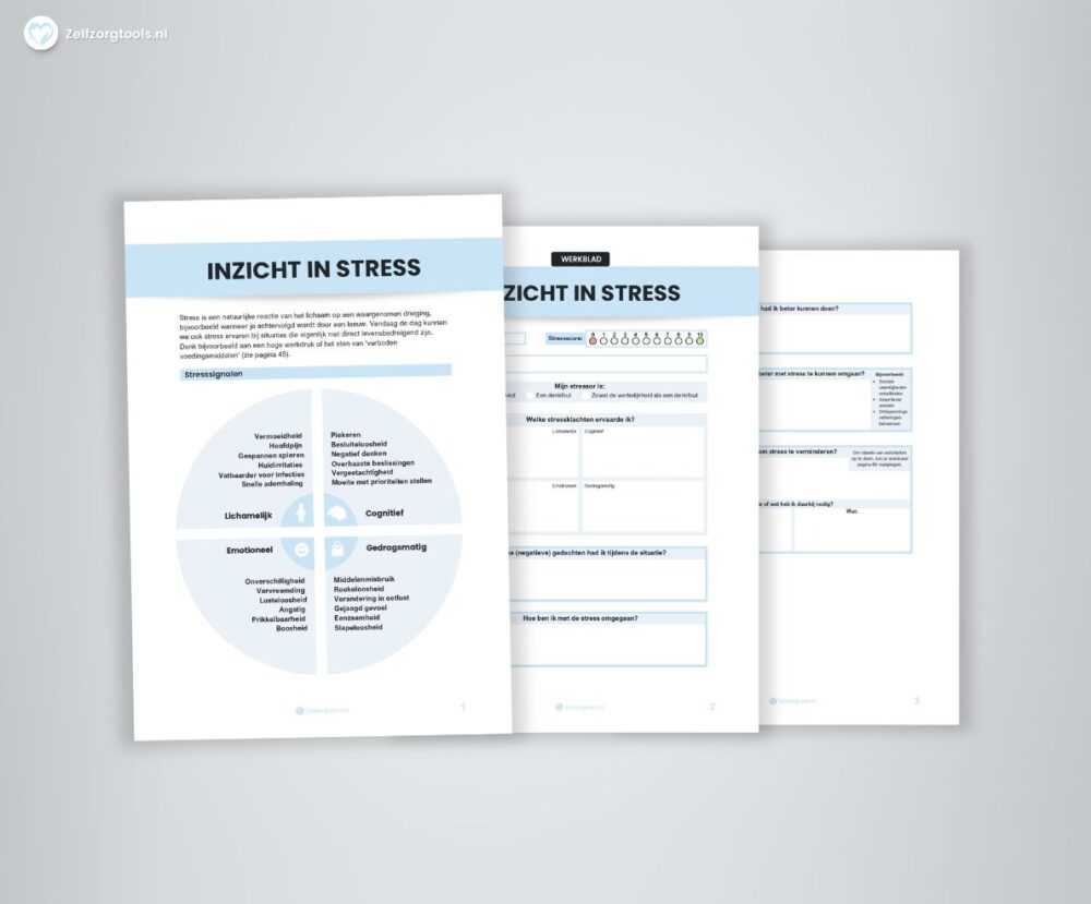 Inzicht in Stress Werkblad PDF