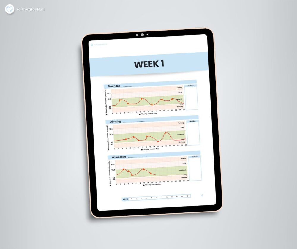 Bloedsuiker Logboek - Voorbeeld Pagina